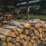 Jak długo schnie brzoza do kominka? Sprawdź, kiedy naprawdę jest gotowa do palenia?