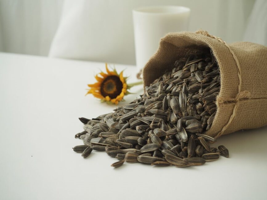 pellet alternatywa dla drewnabioheat